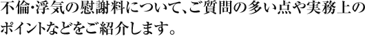 不倫・浮気の慰謝料について、ご質問の多い点や実務上のポイントなどをご紹介します。